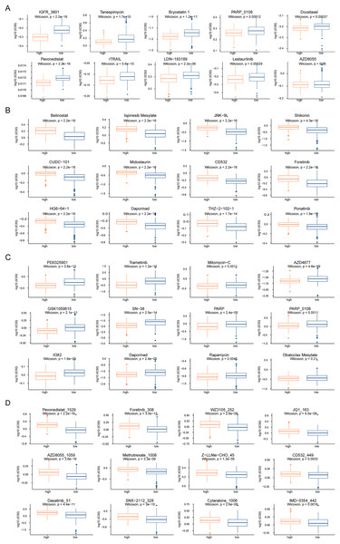 Drug sensitivity analysis of patients in high-risk and low-risk groups.