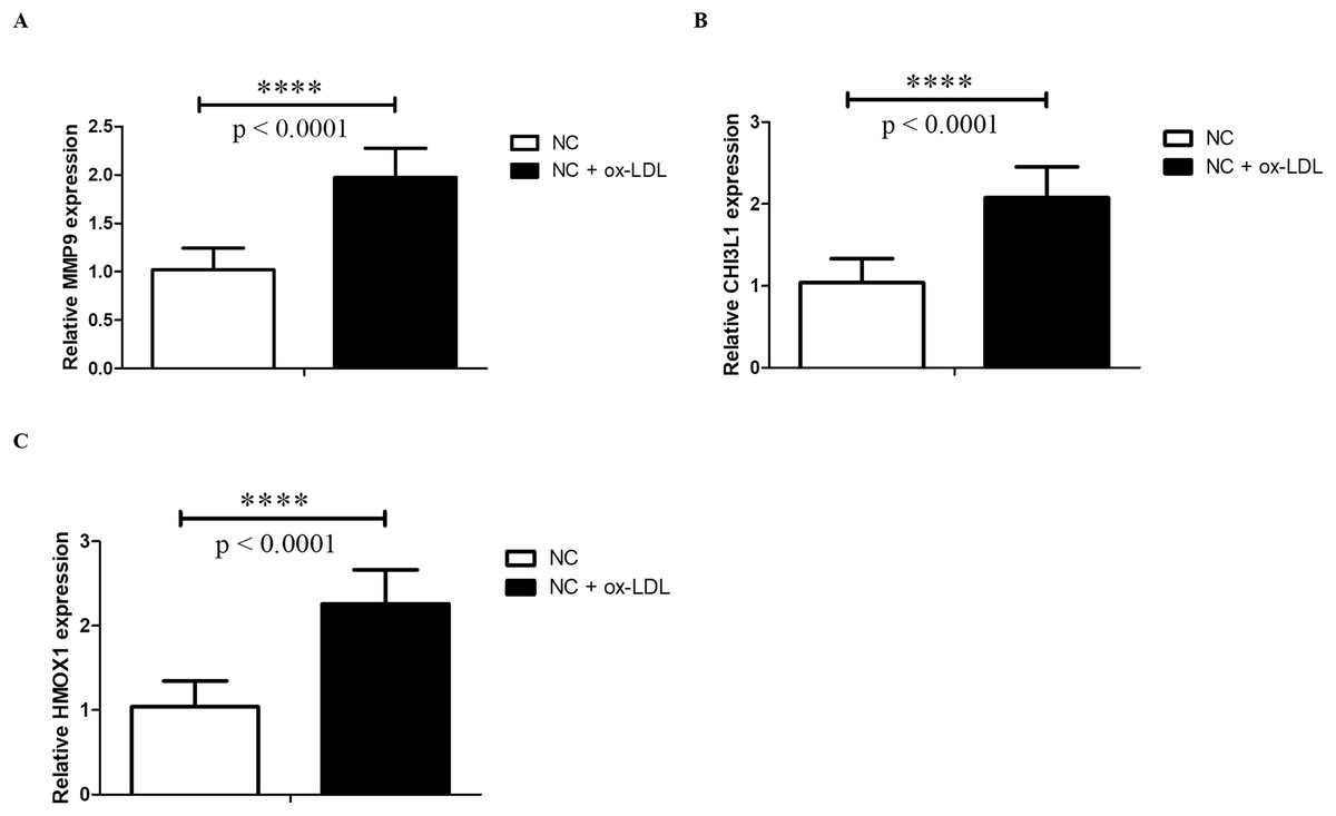 Novel Immune Cell Infiltration-related Biomarkers In Atherosclerosis ...