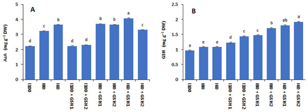 Effect of exogenous spray applications of glutathione (GSH; 0.5 or 1.0 mM) on the contents of ascorbic acid (AsA) (A) and glutathione (GSH) (B) of common beans plants grown under different irrigation levels (seasons average).