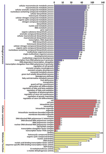GO classification of predicted target genes of the differentially expressed miRNAs.
