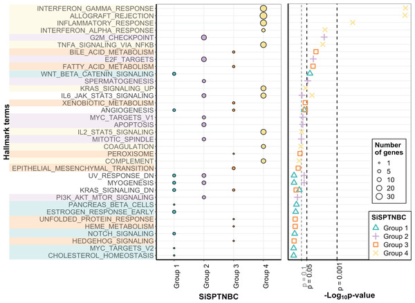 Gene set enrichment analysis of SiSPTNBC Groups 1–4.