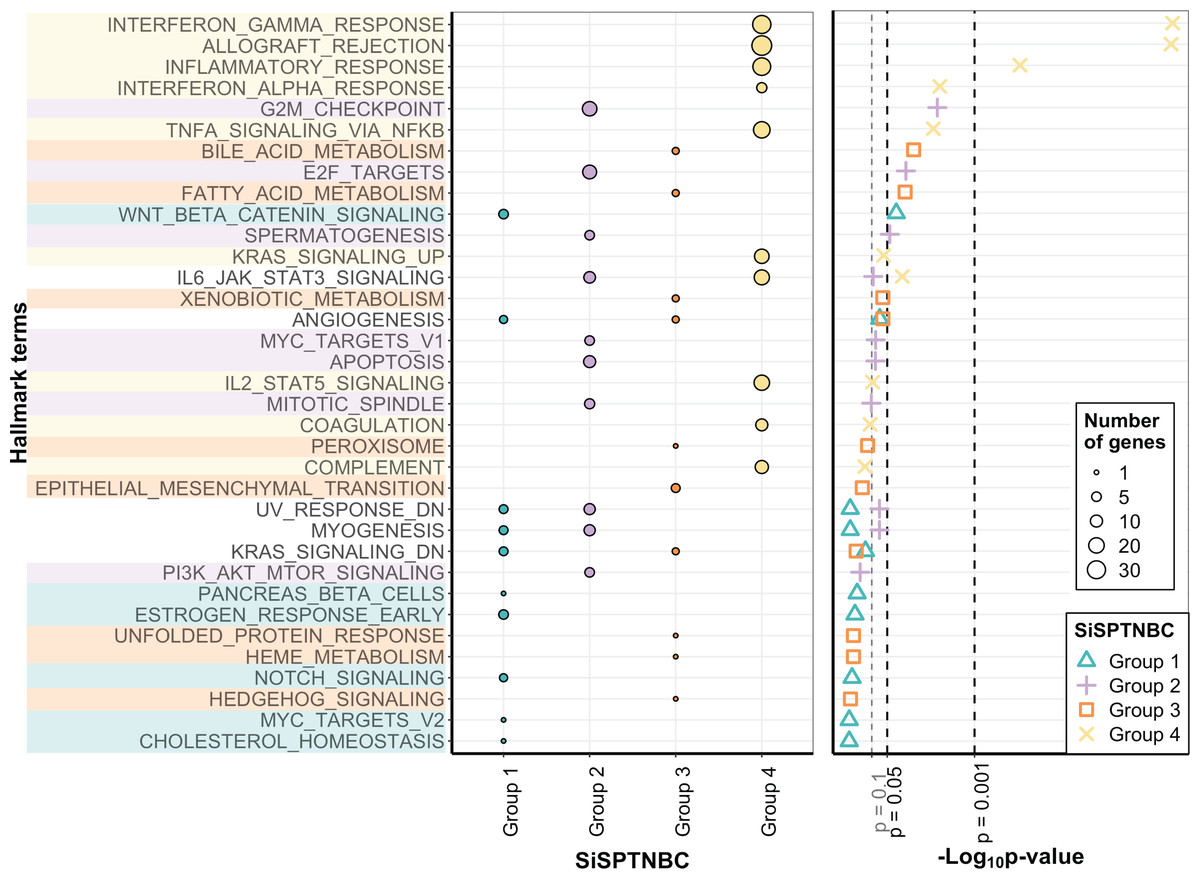 Retrospective study of transcriptomic profiling identifies Thai triple ...