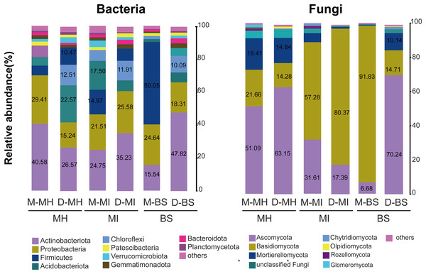 Relative abundance of fungi and bacteria at the phylum level.