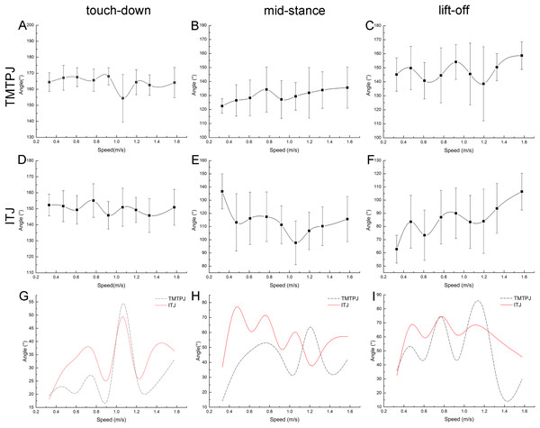 Changes of instantaneous joint angles during the duration of the stance phase with increasing speed (108 stride cycles totally).