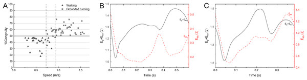 %Congruity vs speed (A) and representative curves of Ep + Ekv and Ekh for a walking gait (B) and a grounded running gait (C).