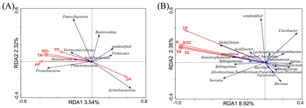 RDA analysis at phylum level (A) and genus level (B).