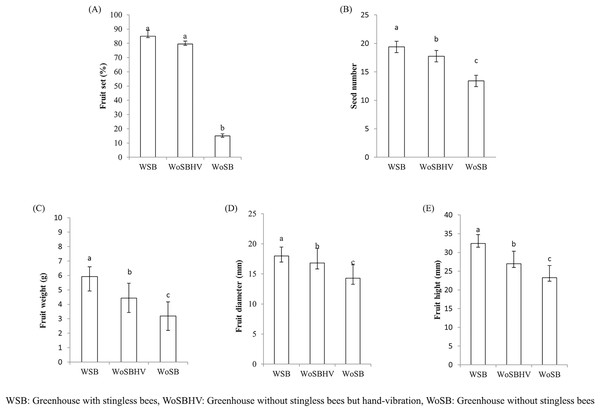 Fruit quality of tomato produced in greenhouse, of the first experiment, with and without stingless bee.