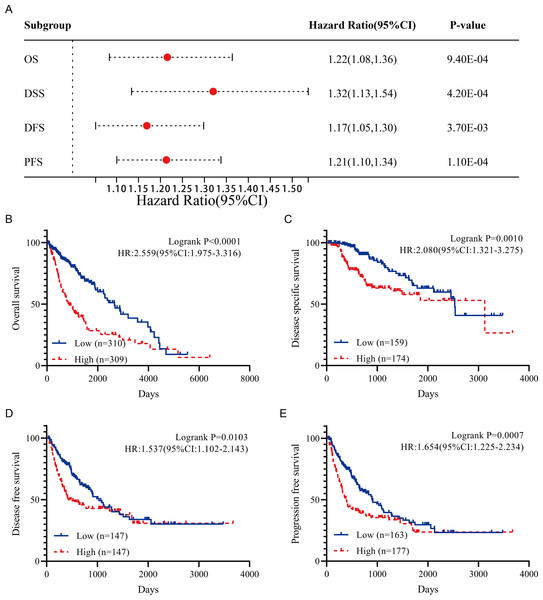 The correlation of FBXO43 expression with the prognosis of HCC patients.
