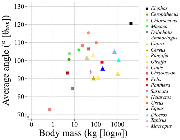 A scatter chart of the body mass and θave.
