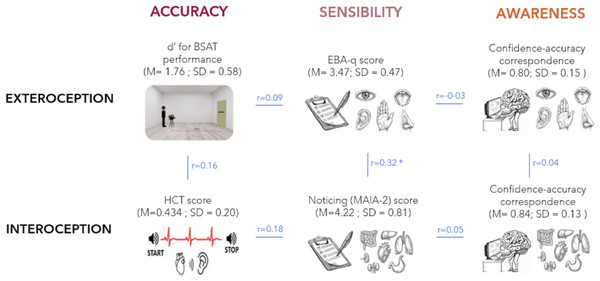 Diagram representing all measured variables of exteroception and interoception (accuracy, sensibility, and awareness) and their relationship.