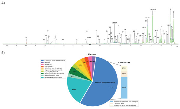 Fecal metabolic characterization using 1H NMR spectroscopy.