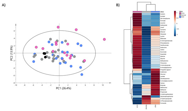 Principal component and heat map analyses of fecal metabolome data.