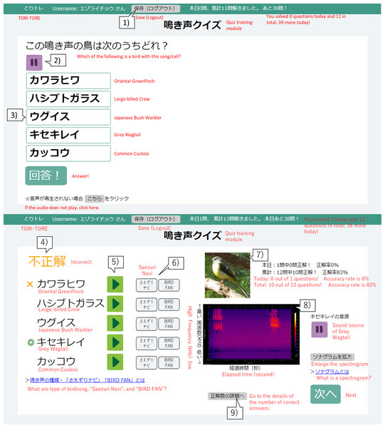 User interface of the birdsong training tool TORI-TORE (quiz and answer matching interfaces for the quiz training module in Japanese).