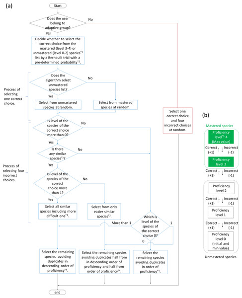 Flowcharts of algorithm (A) to generate answer choices in adaptive and baseline training and (B) to change proficiency levels for each species in adaptive training.