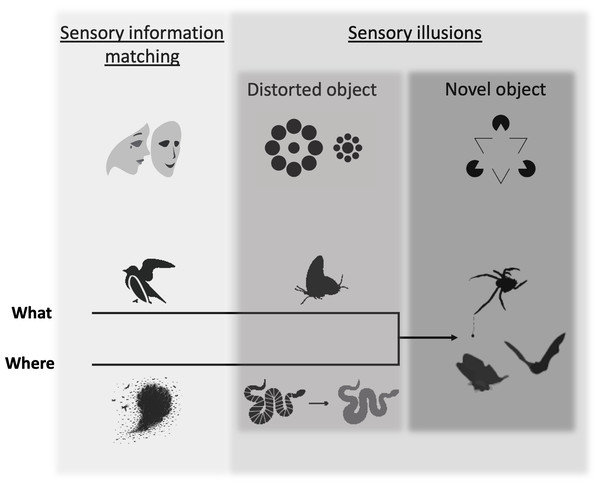 The deception framework.