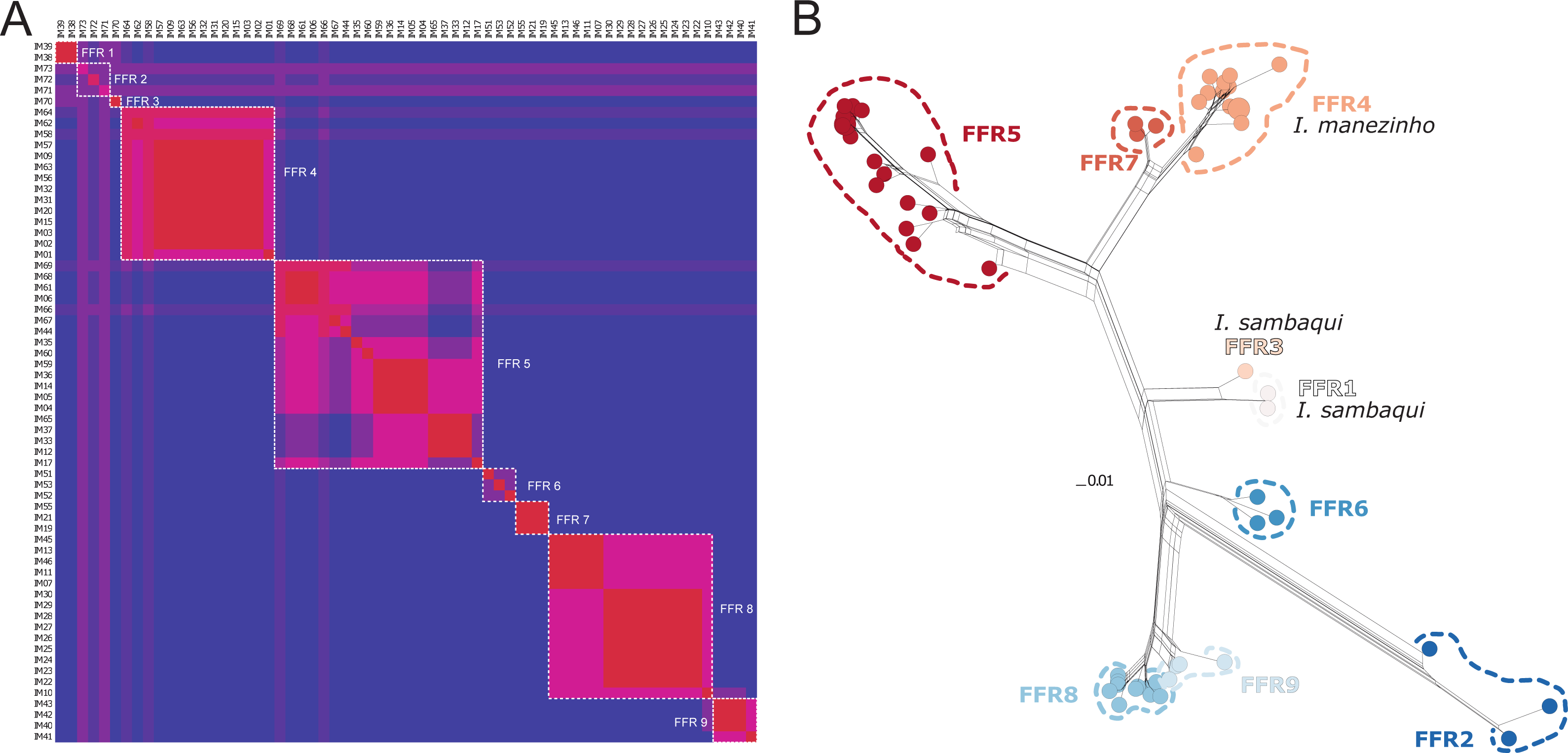 Integrative Species Delimitation Helps To Find The Hidden.