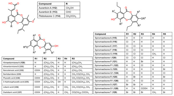 Chemical structures of depsidone (112–137).