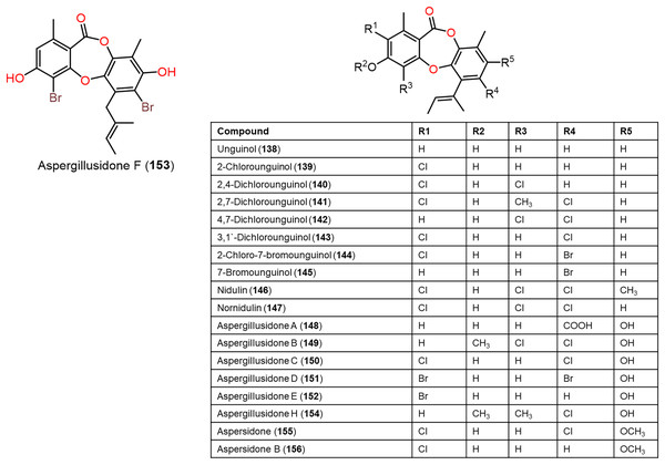 Chemical structures of depsidone (138–156).