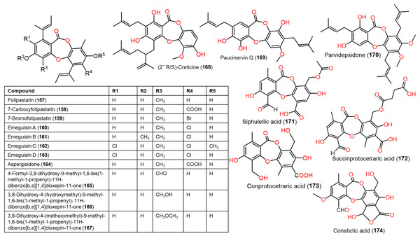 Chemical structures of depsidone (157–174).