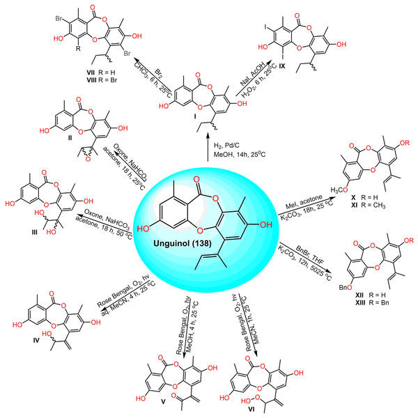 Semisynthetic derivatives (I–XIII) of unguinol (138) (Morshed et al., 2021).