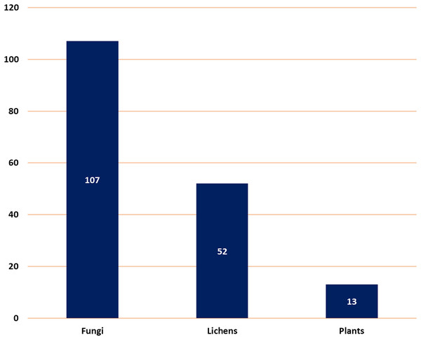 Number of reported depsidones from different sources.