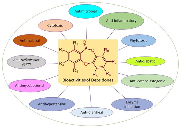 Reported bioactivities of depsidones.