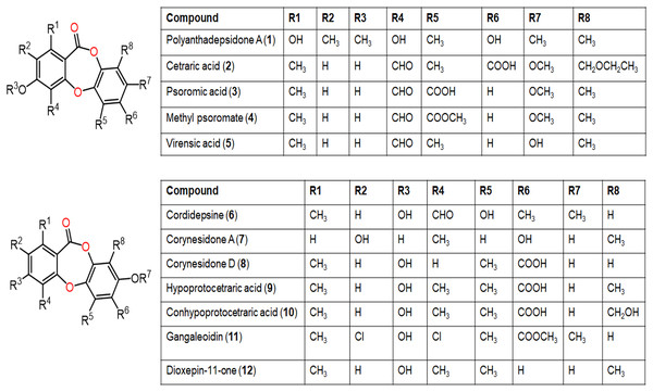 Chemical structures of depsidone (1–12).