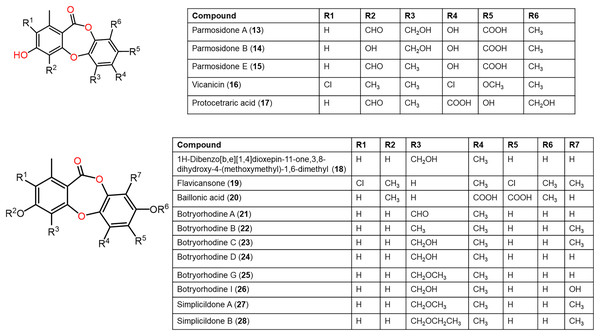 Chemical structures of depsidone (13–28).