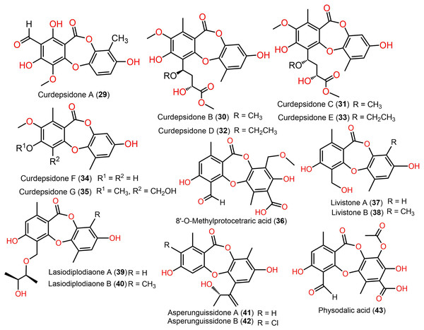 Chemical structures of depsidone (29–43).