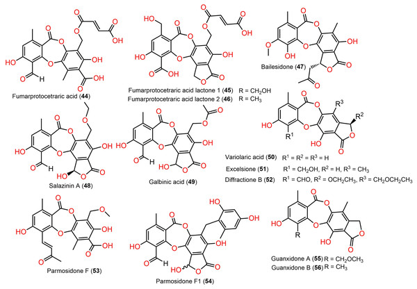 Chemical structures of depsidone (44–56).