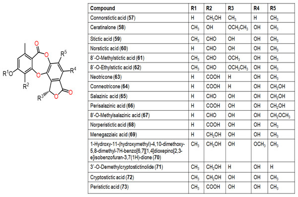 Chemical structures of depsidone (57–73).