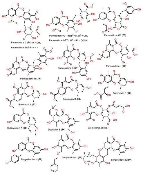 Chemical structures of depsidone (74–90).