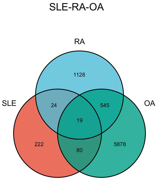 Triptoquinone A and B exercise a therapeutic effect in systemic lupus ...