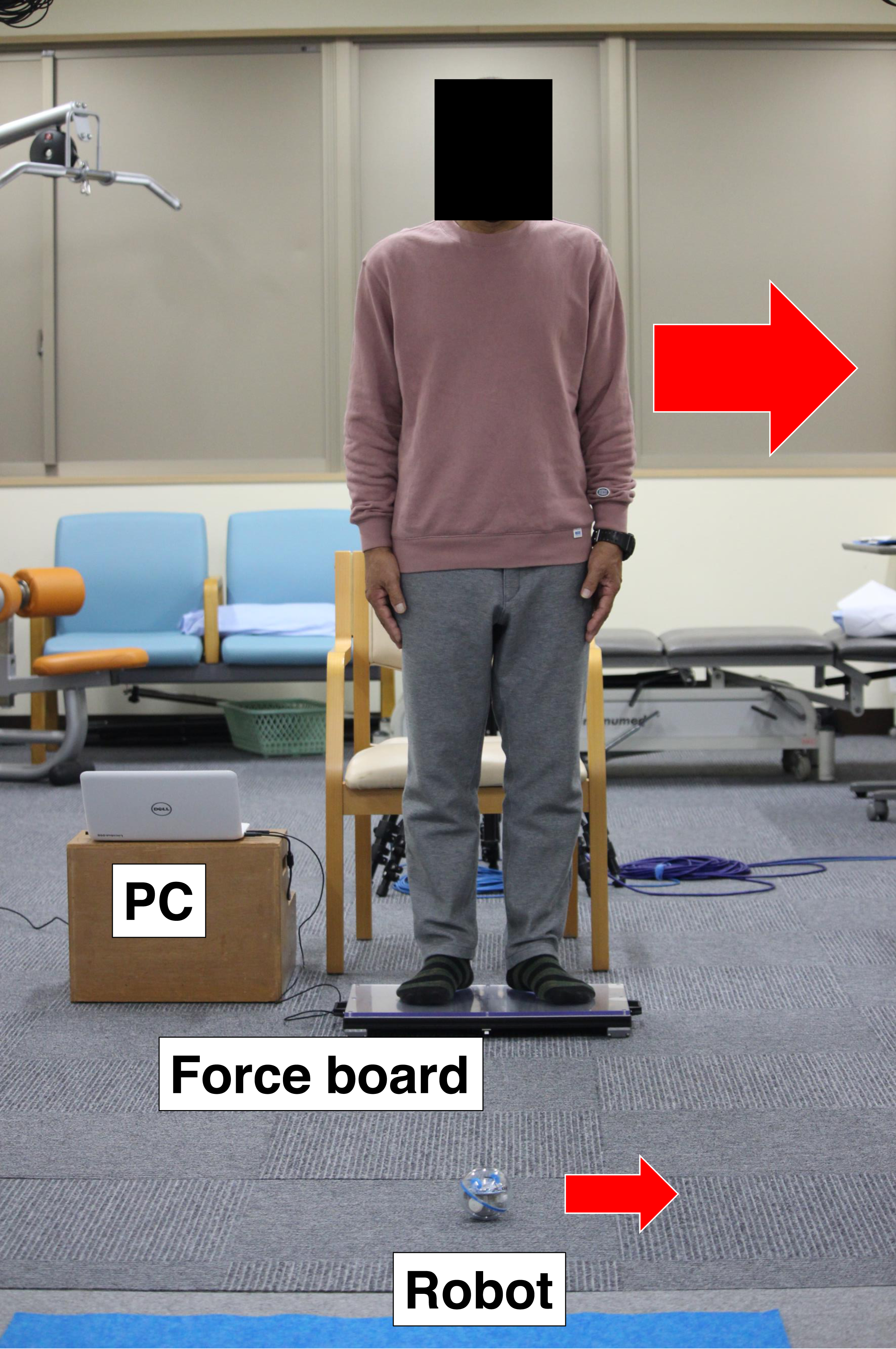 Weight-shifting-based robot control system improves the weight-bearing rate and balance ability of the static standing position in hip osteoarthritis patients a randomized controlled trial focusing on outcomes after total hip arthroplasty PeerJ image