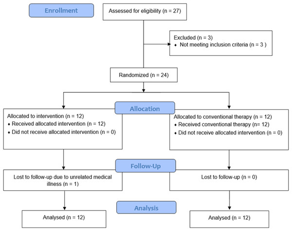 Flow diagram of the study.