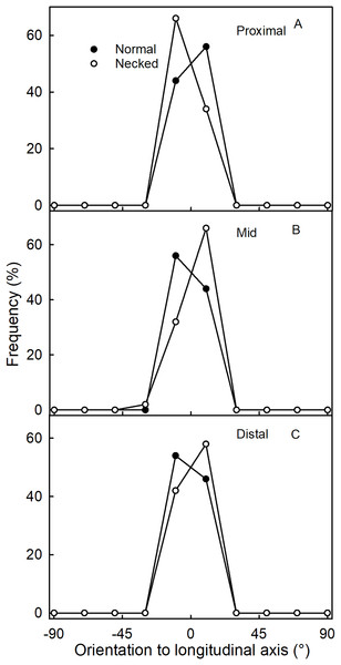 Frequency distribution of the orientations of epidermal cells on a strawberry fruit.