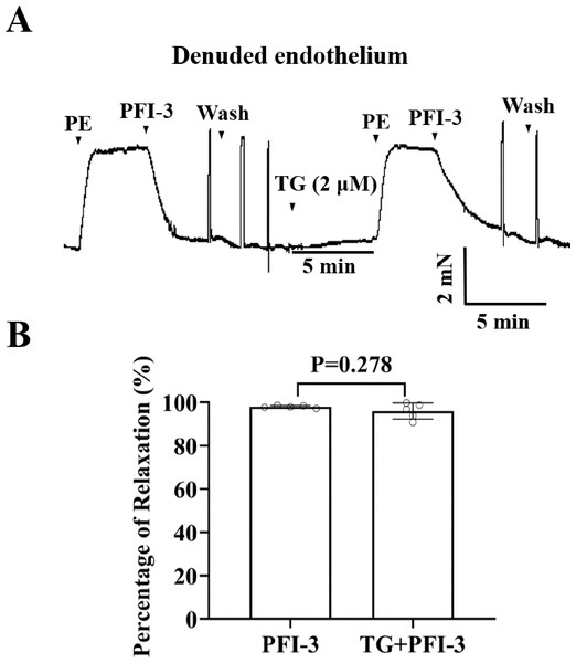 Effects of pretreatment with TG on PFI-3-induced vasodilation.