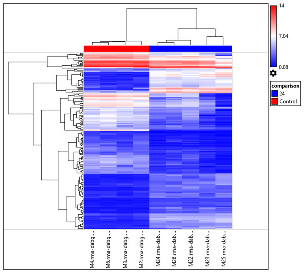 Hierarchical clustering of the 156 differentially expressed miRNAs.