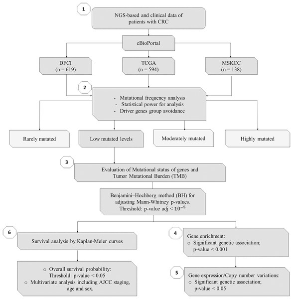 Flowchart of methods of this study.