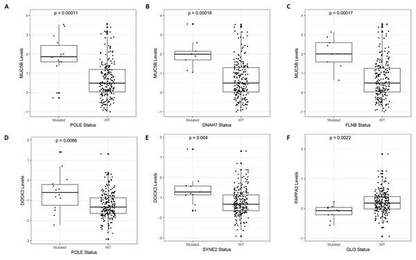 A selection of genes whose mutational status was associated with alterations in expression levels.