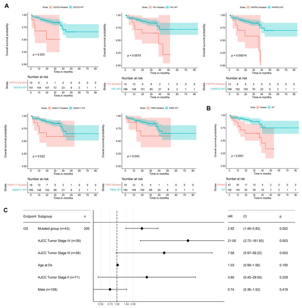 Prognosis analysis of five potential mini-drivers.