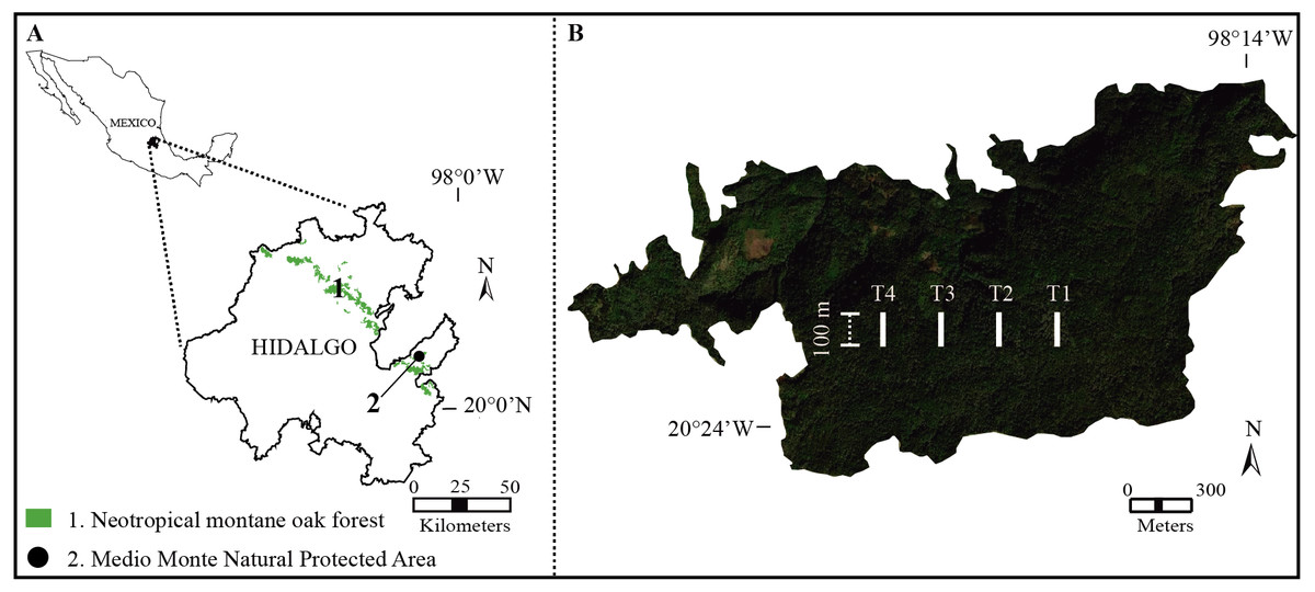 Small-fragment, High Turnover: Soil Microenvironment Fluctuation Effect ...