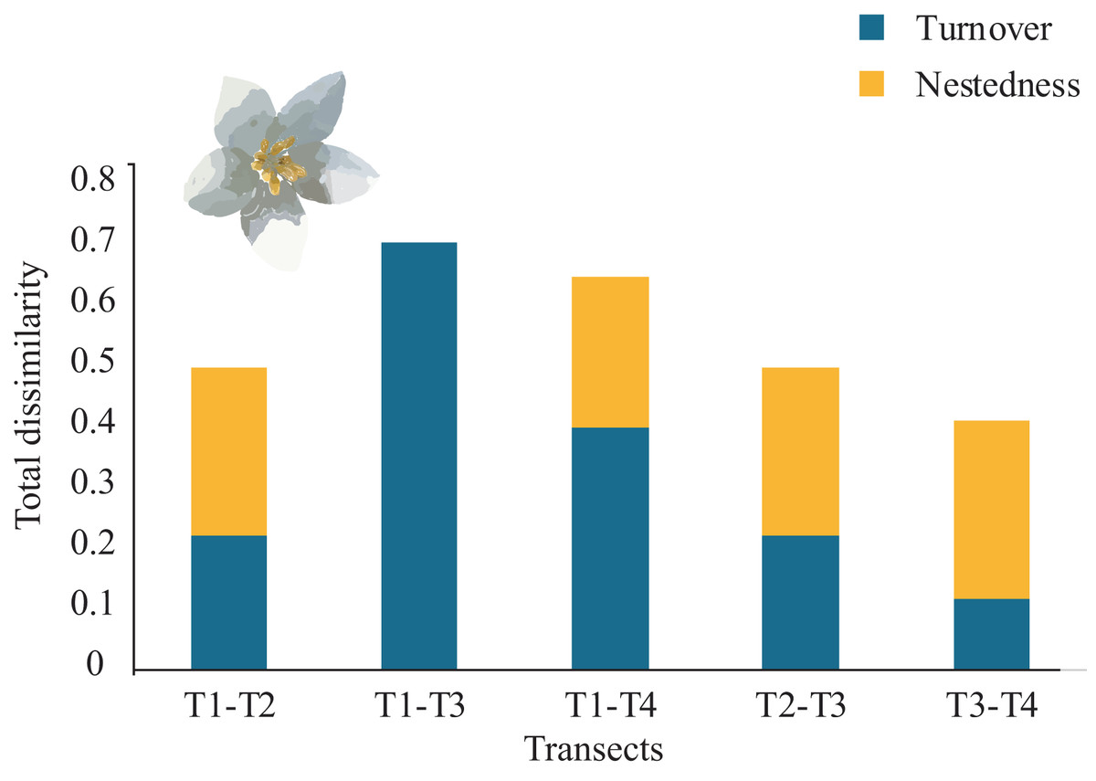 Small-fragment, High Turnover: Soil Microenvironment Fluctuation Effect ...