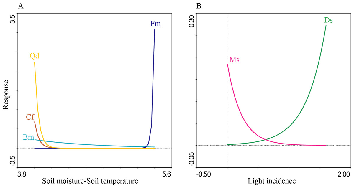 Small-fragment, High Turnover: Soil Microenvironment Fluctuation Effect ...