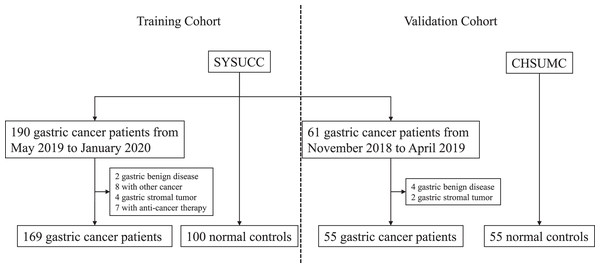 Flowchart of serum IGFBP7 detection in this study.