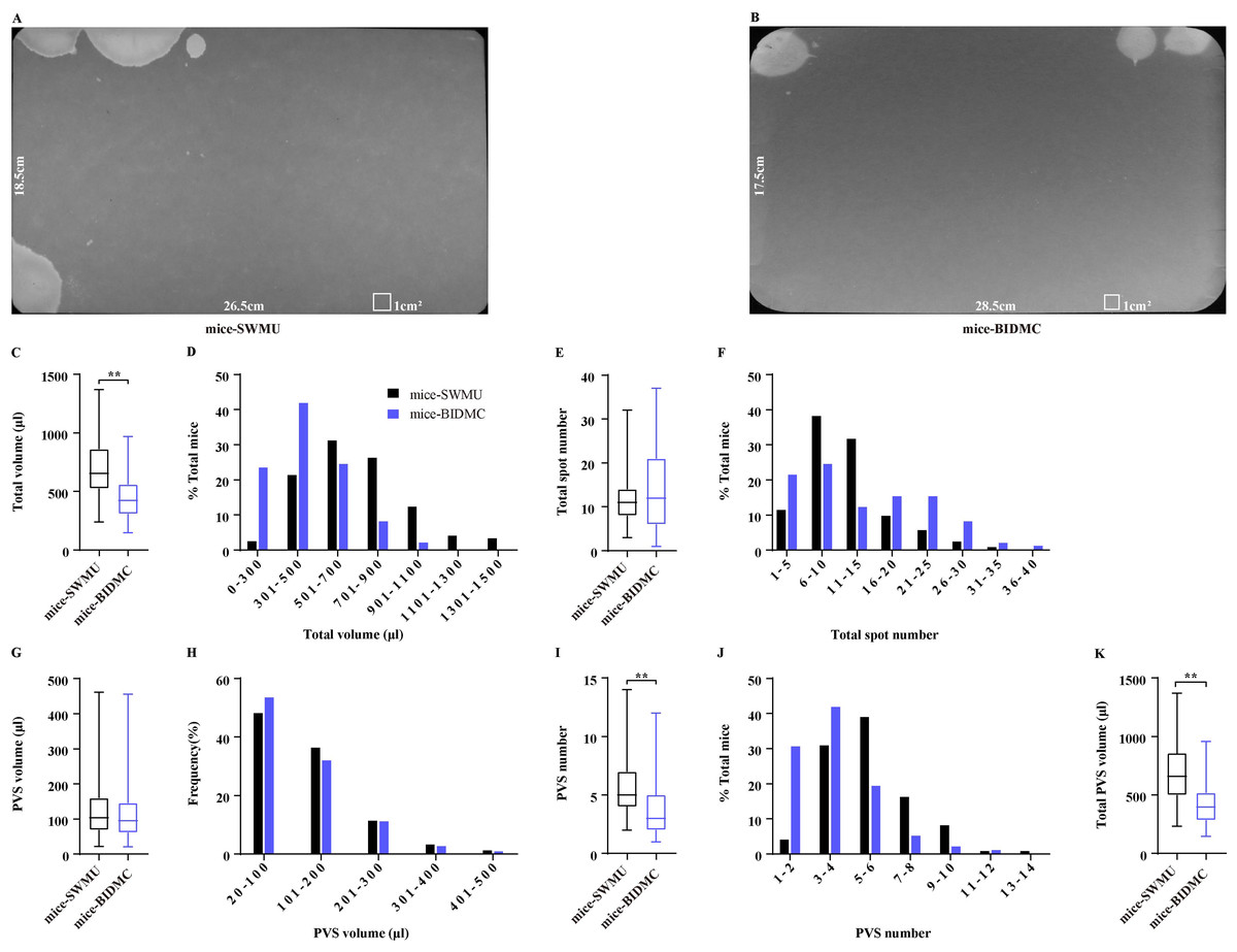 Minimizing The Variables Of Voiding Spot Assay For Comparison Between ...