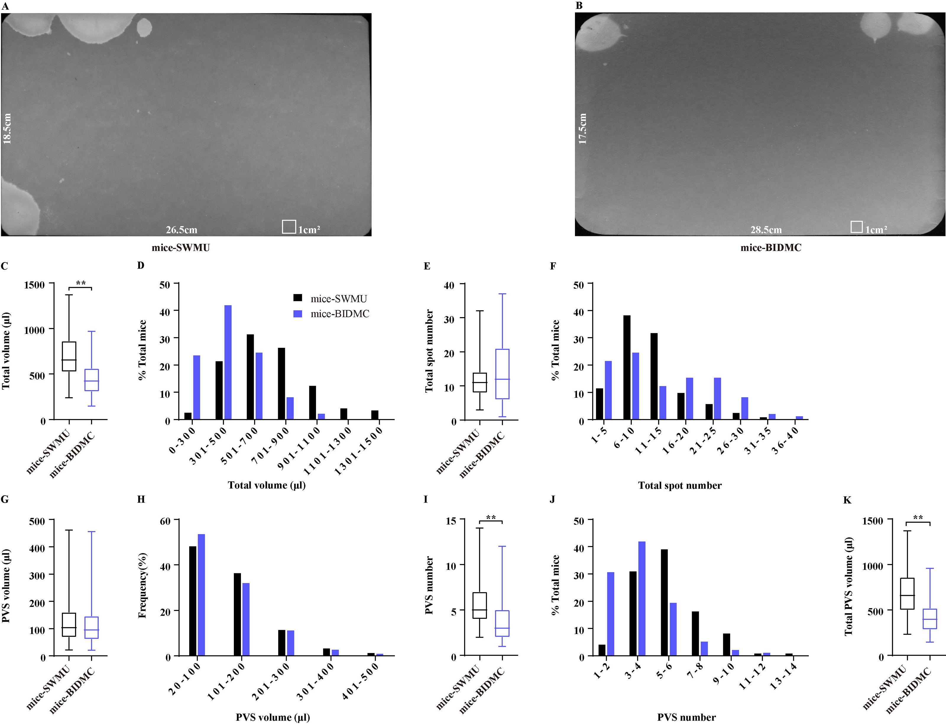 Minimizing The Variables Of Voiding Spot Assay For Comparison Between ...