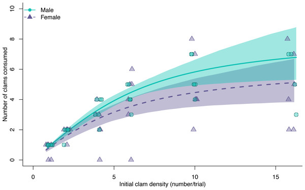 Functional response curves for male (blue dots, solid line) and female (purple triangles, dashed line) European green crabs (Carcinus maenas), relating the mean number of varnish clams consumed to varnish clam (Nuttallia obscurata) density.