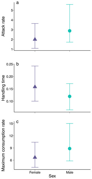 Parameter estimates for (A) attack rate, (B) handling time, and (C) maximum consumption rate of female and male European green crabs (Carcinus maenas) foraging on varnish clams (Nuttallia obscurata).