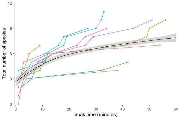 Mean species accumulation curve over the duration of all 10 videos.